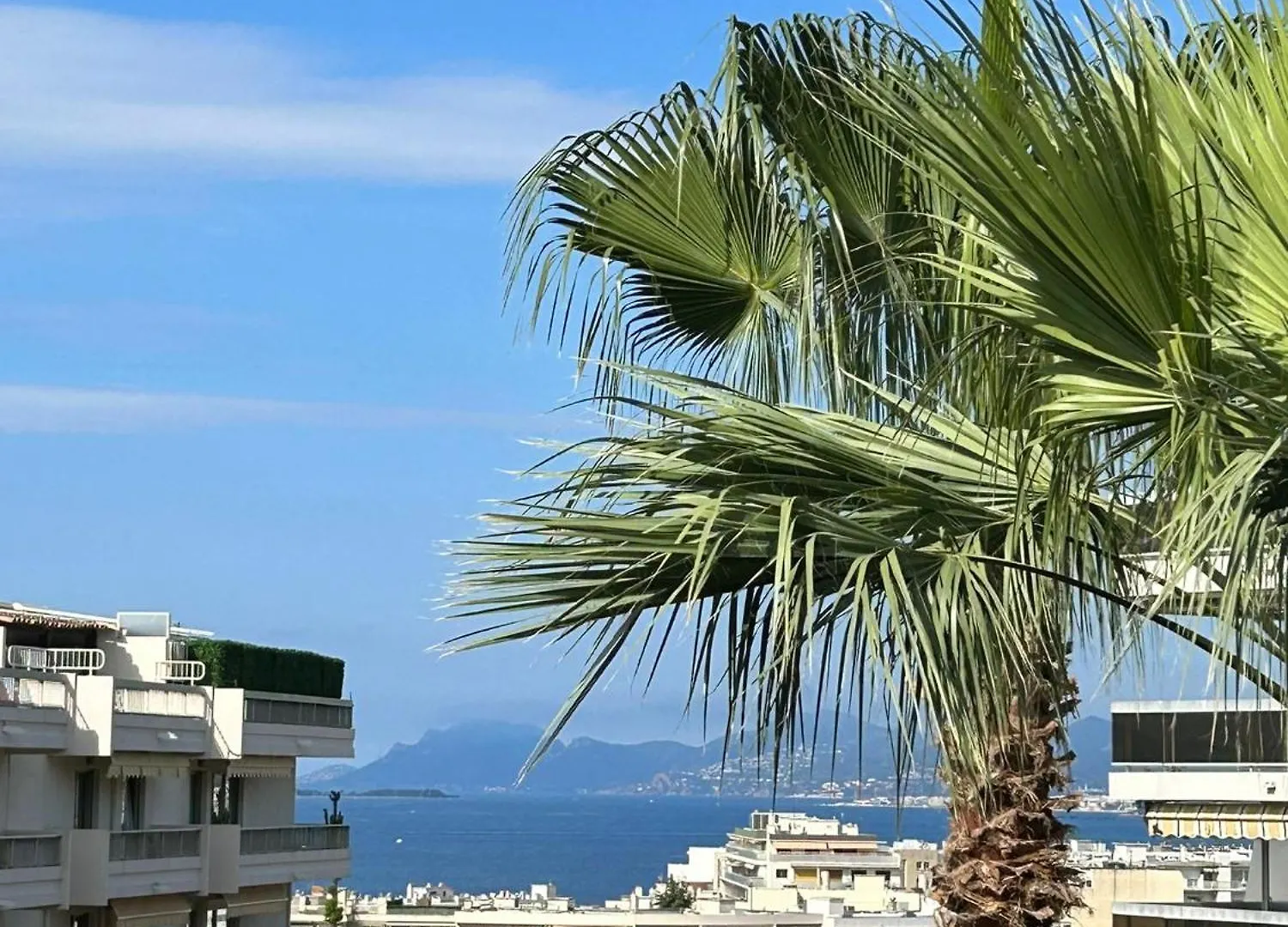 Appartamento Ideal Vacances En Famille, 2 Pieces, Wifi, Piscine, 5 Min A Pieds Des Plages De Juan Les Pins Antibes
